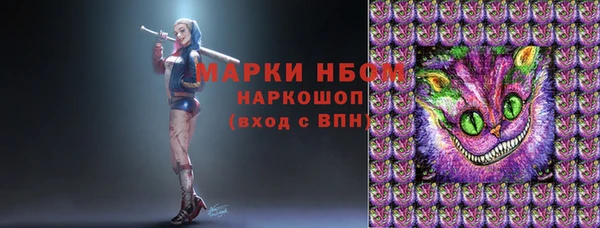 хмурый Алексин
