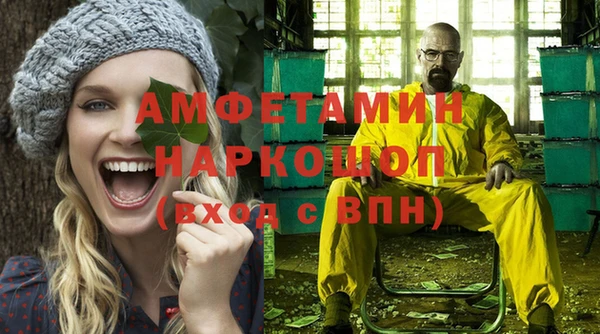 хмурый Алексин