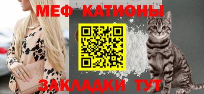 стаф Гай