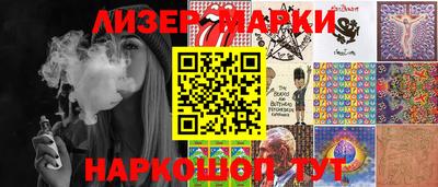 стаф Гатчина
