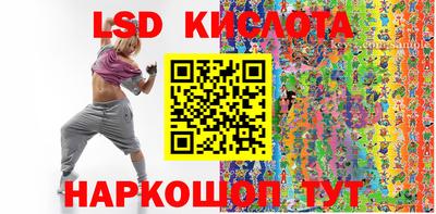 стаф Гай