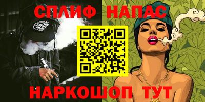 стаф Гай