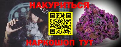 стаф Гатчина
