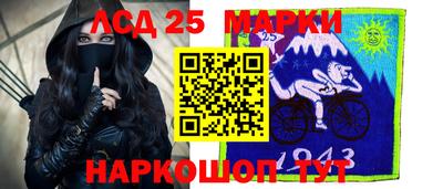 стаф Гатчина