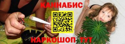стаф Гатчина