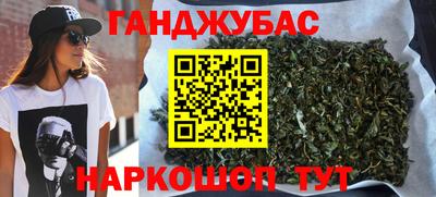 стаф Гай