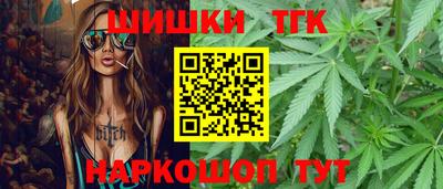 стаф Гатчина