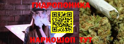 стаф Гатчина