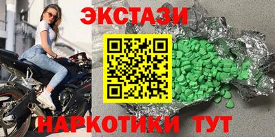 стаф Гатчина
