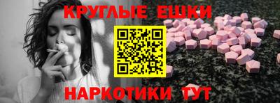стаф Гатчина