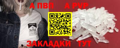 стаф Гай