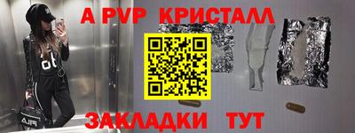 стаф Гай
